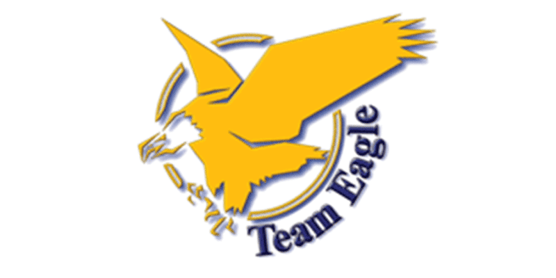 Team Eagle Logo