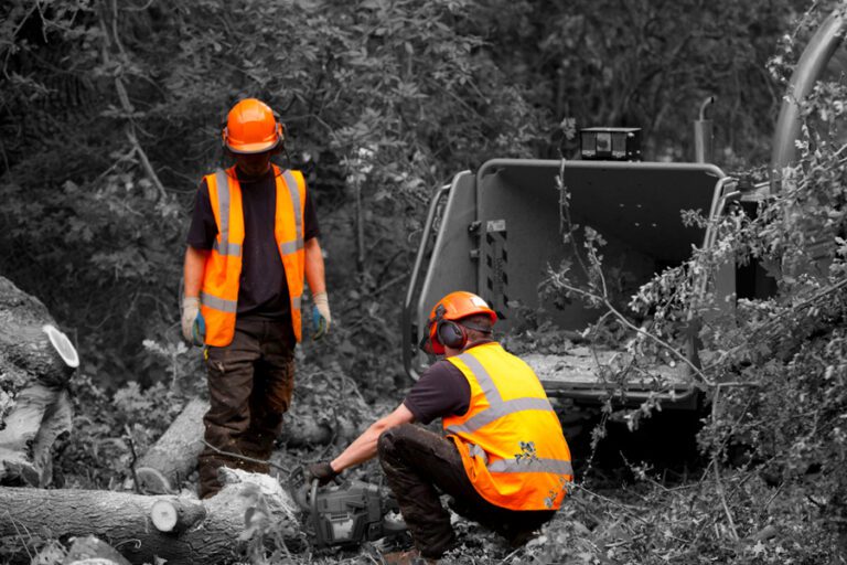 Arborist Equipment Program Canoe Procurement Group of Canada